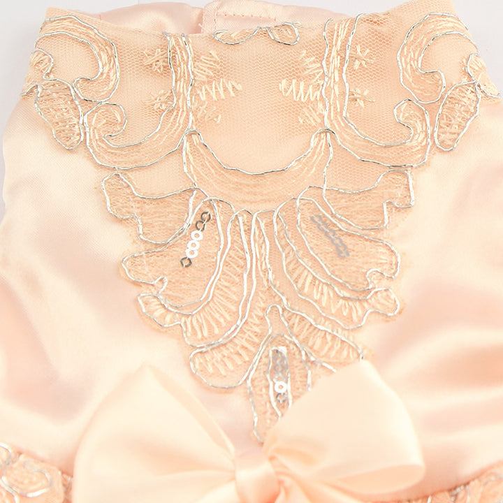 Sequins Lace Embroidered Dog Dress Princess Wedding Dresses for Dogs Pet Tutu Skirt Supplies XS S M L XL