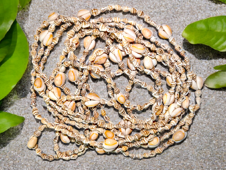 Tahitian Shell Necklace