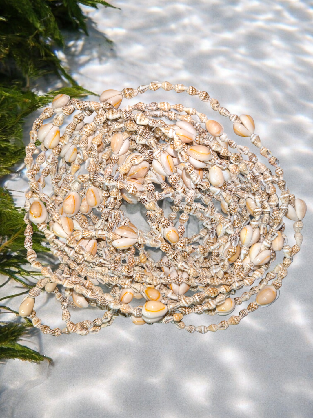 Tahitian Shell Necklace