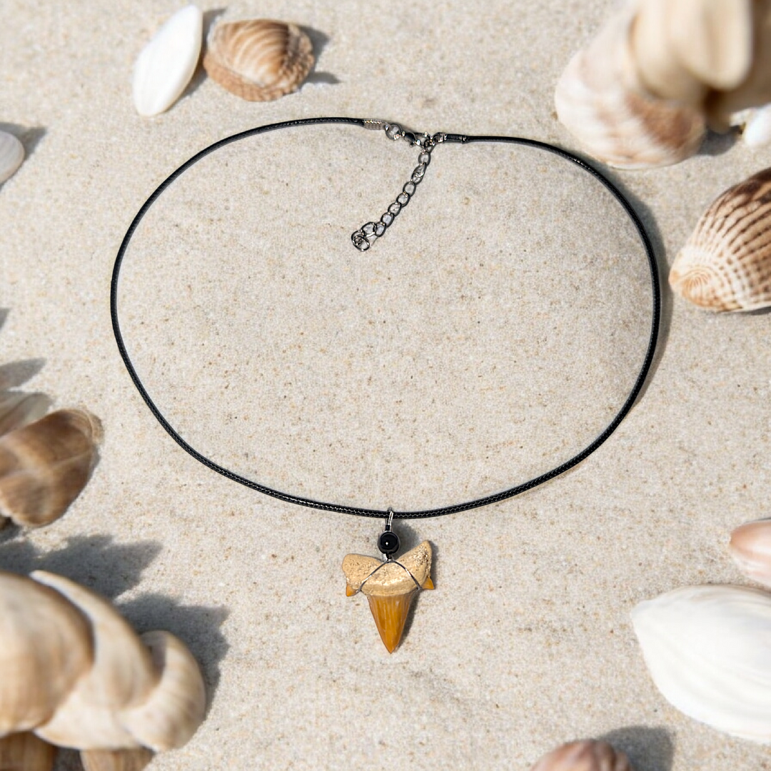 Authentic Fossilized Moroccan Shark Tooth Necklace #2