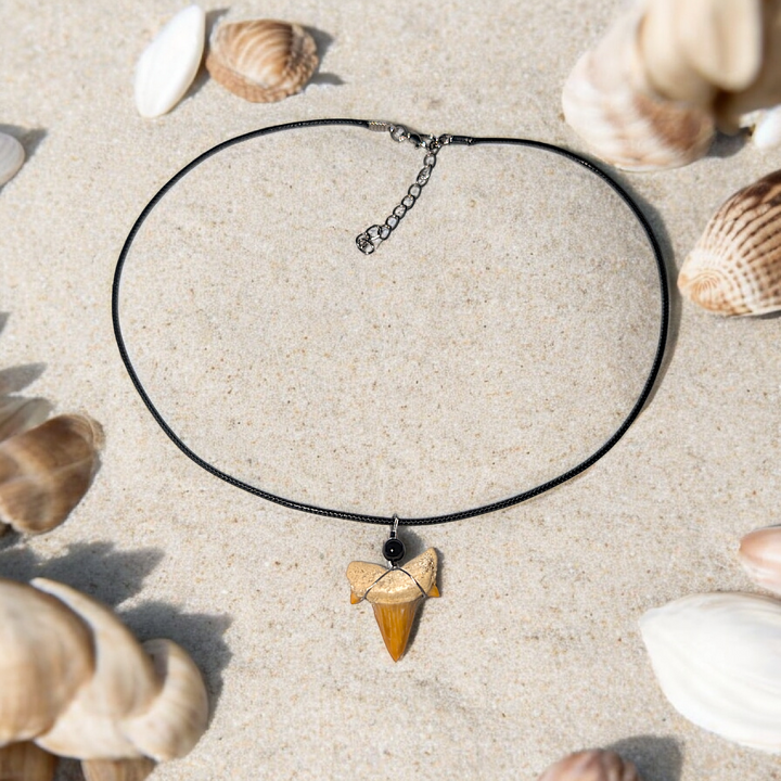 Authentic Fossilized Moroccan Shark Tooth Necklace #2
