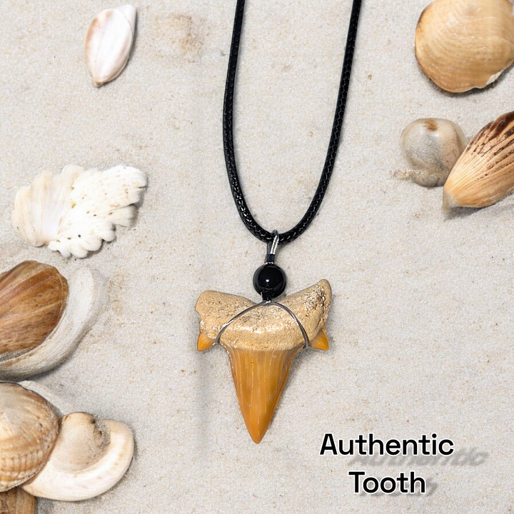 Authentic Fossilized Moroccan Shark Tooth Necklace #2