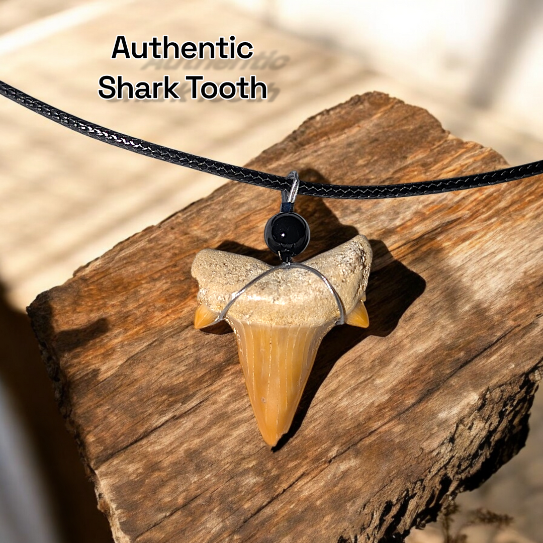 Authentic Fossilized Moroccan Shark Tooth Necklace #2