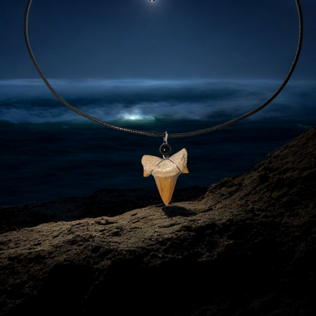 Authentic Fossilized Moroccan Shark Tooth Necklace #2