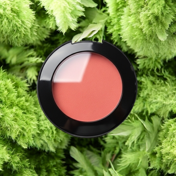 Blush - Compact - Coral Kiss