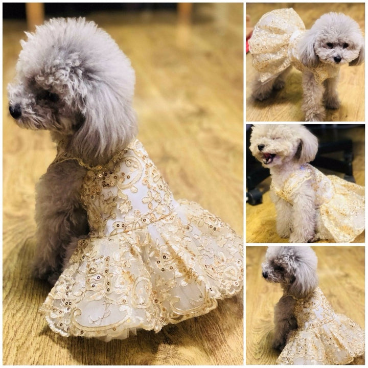 Princess Dog Cat Wedding Dress Tutu Pet puppy Dresses Puppy party Skirt Embroidery Cat Clothes Apperal XS -XL