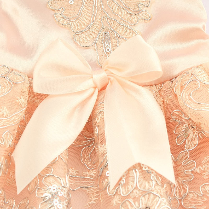 Sequins Lace Embroidered Dog Dress Princess Wedding Dresses for Dogs Pet Tutu Skirt Supplies XS S M L XL
