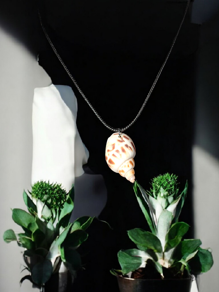 Morning Shell Necklace