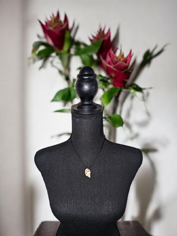 Morning Shell Necklace