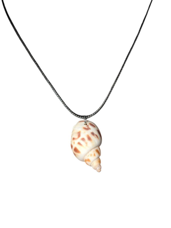 Morning Shell Necklace